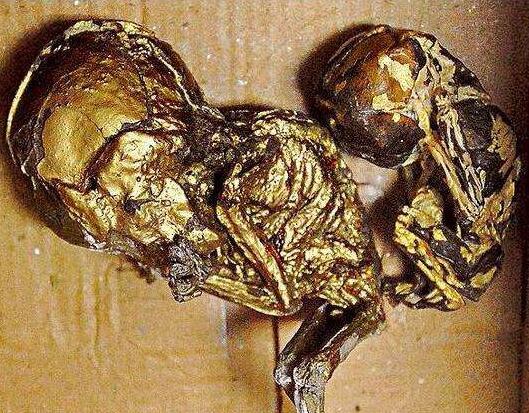 古曼童和小鬼的区别是什么