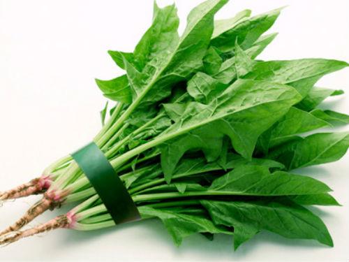  防癌十大类食物排行榜