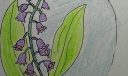 简笔画-铃花的画法