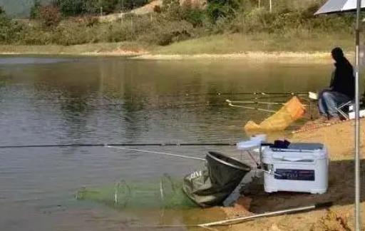 钓鱼的技巧和方法 钓鱼技巧及方法