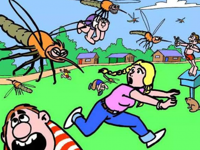 室内最有效的驱蚊方法