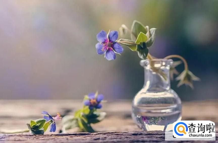 我怎么潇洒怎么活合适吗?