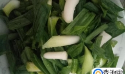 如何做蒜苗烧豆腐