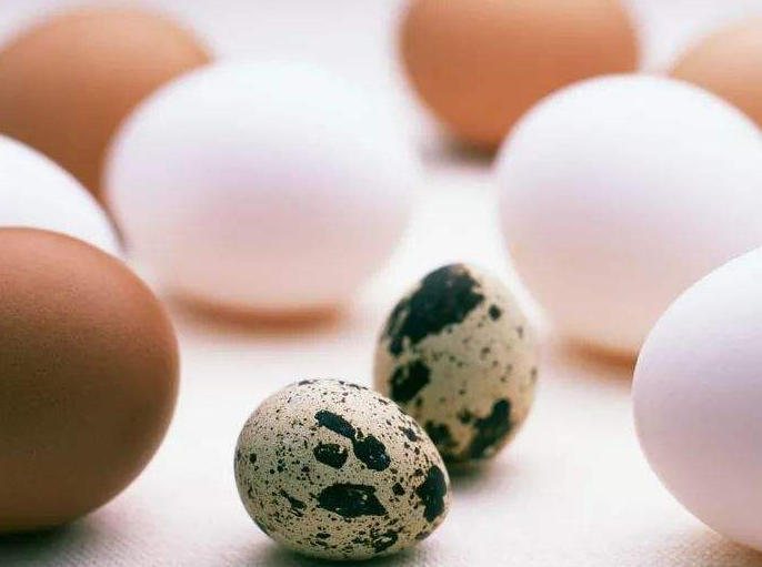 鸡蛋和鹅蛋的营养价值有什么不同