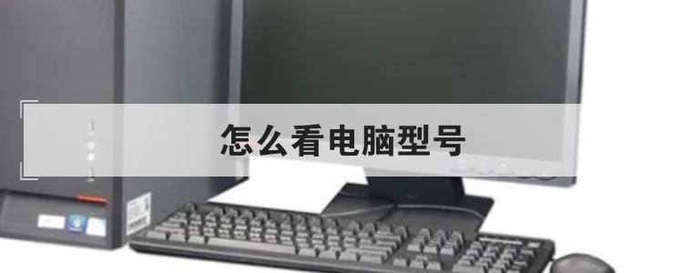 怎么看电脑型号br