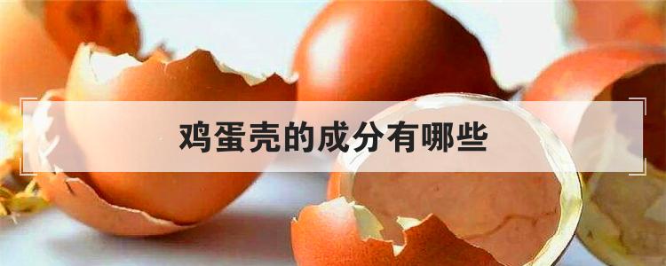 鸡蛋壳的成分有哪些