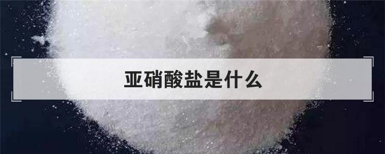 亚硝酸盐是什么