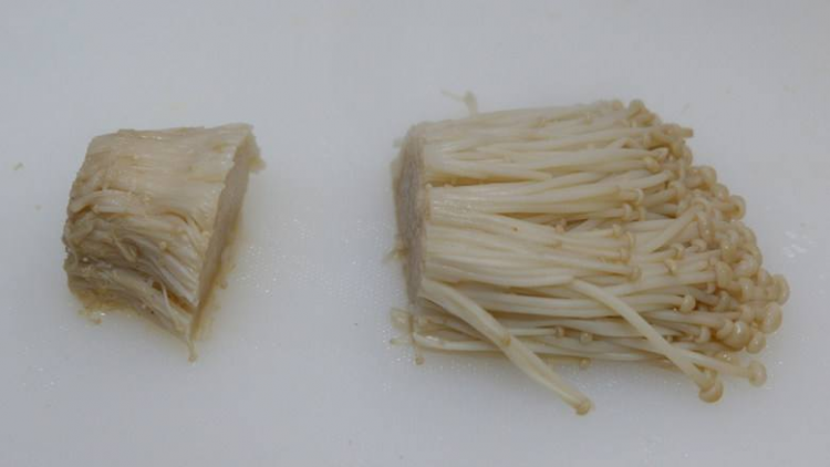 吃剩的金针菇根怎么种出新的