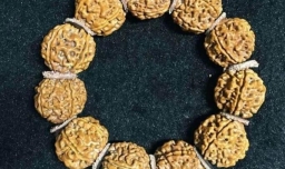 金刚菩提开裂正常吗