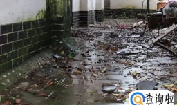 蜈蚣爬进家里好不好