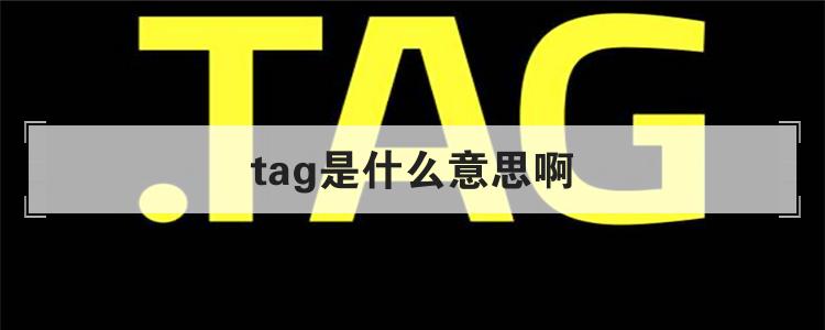 tag是什么意思啊