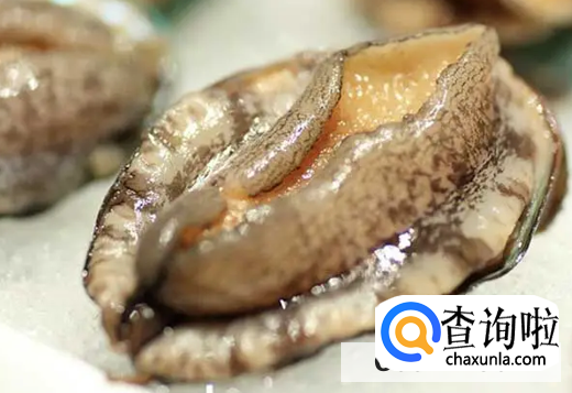 食用鲍鱼有哪些禁忌