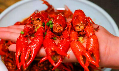 小龙虾生长在什么地方