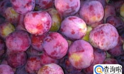 水果为何这么“高贵”了 跟这些因素有关