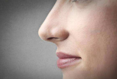 人的鼻子为什么是软骨