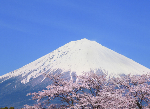 富士山在哪里