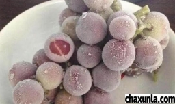 葡萄长时间保存的方法