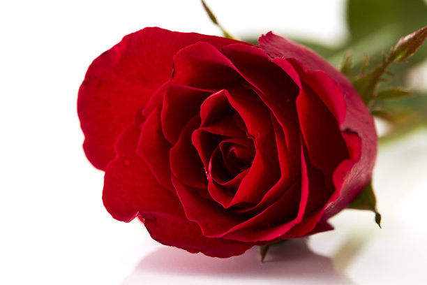 5.12护士节送什么礼物