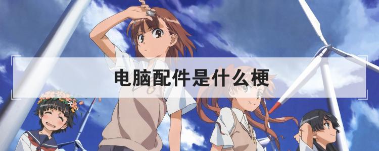 电脑配件是什么梗