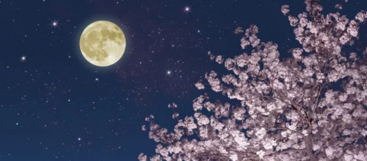 表示想的词语有哪些