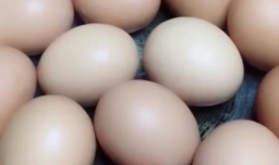 怎样腌鸡蛋健康又好吃？