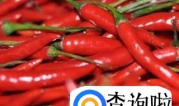 怎样自制四川辣酱