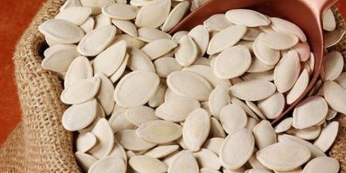 冬瓜子的功效与作用