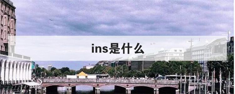 ins是什么