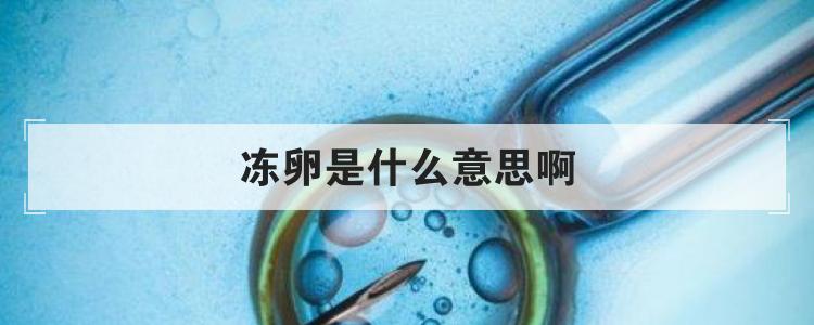 冻卵是什么意思啊