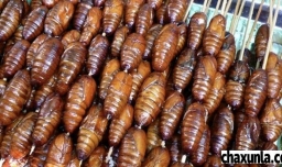 蚕蛹的做法家常做法