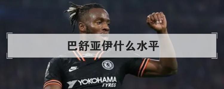 巴舒亚伊什么水平br