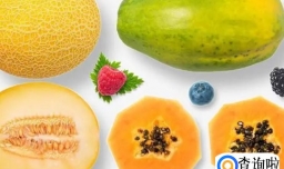 哈密瓜和木瓜的区别是什么