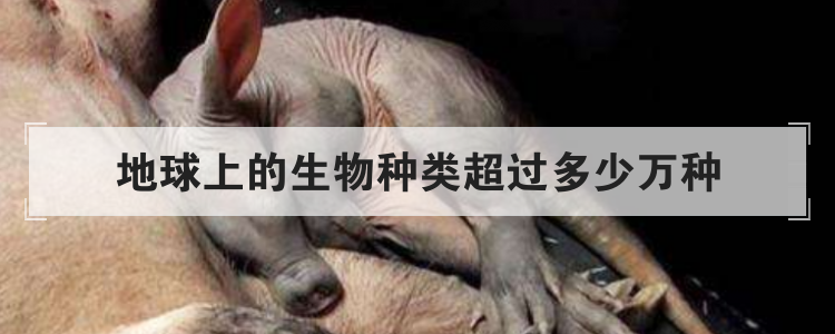 地球上的生物种类超过多少万种