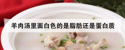 羊肉汤里面白色的是脂肪还是蛋白质