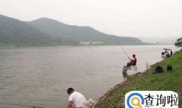 钓鲫鱼打窝技巧