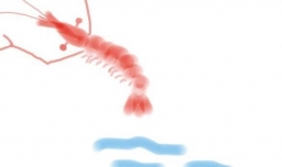 如何用毛笔画好一只虾？