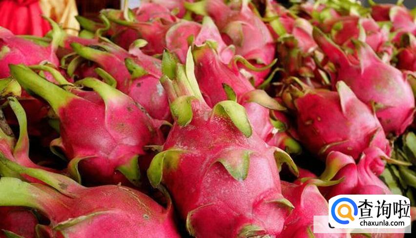 怎样挑选好的火龙果