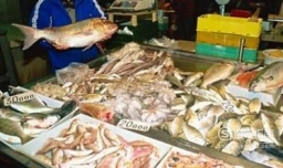 做海鲜生意如何入手