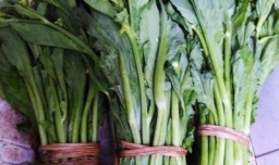 自做的芥末菜心