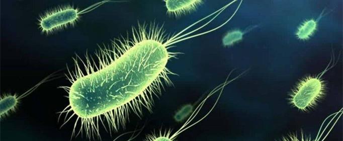 为什么说细胞是基本的生命系统