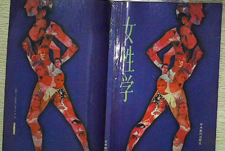 欧美女性学是怎样兴起的