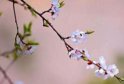 立春是什么时候?