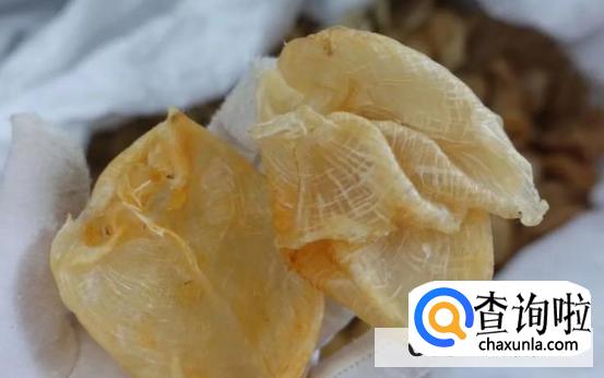 如何辨别鱼胶真假