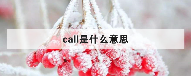 call是什么意思