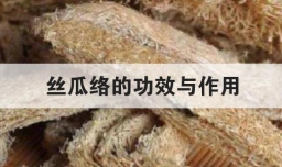 丝瓜络的功效与作用