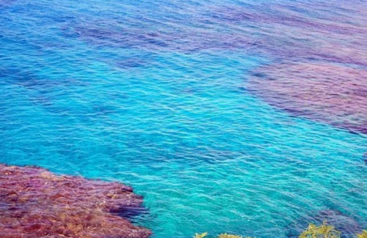 世界最深的海沟