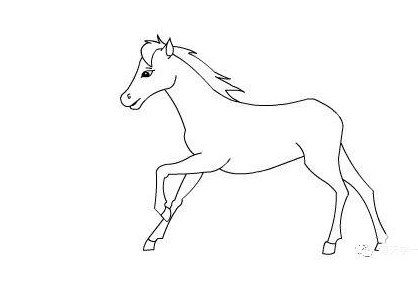 马的简笔画