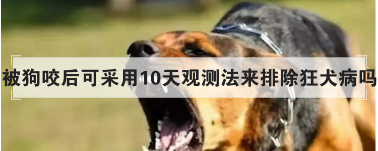 被狗咬后可采用10天观测法来排除狂犬病吗