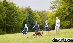 老年人散步的好处有哪些