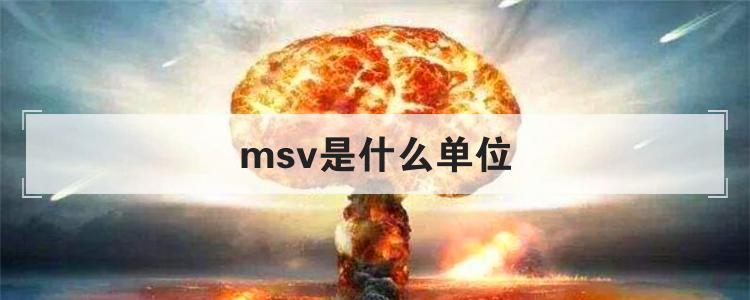 msv是什么单位